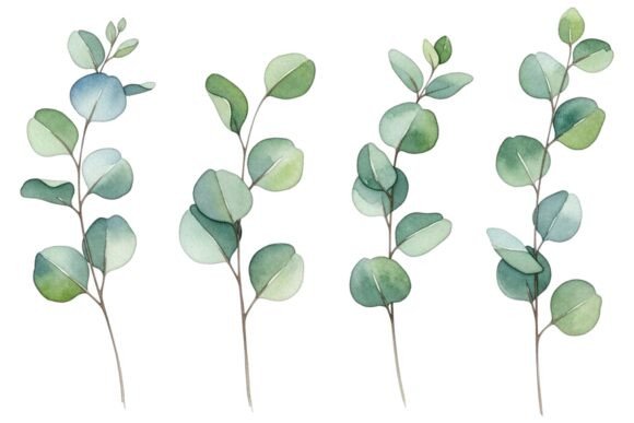 Watercolor Eucalyptus Leaves Set: Graphics and Illustrations for Real Publishing